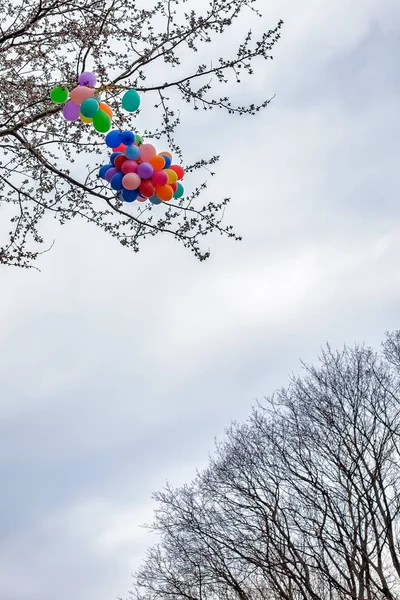 Lost bunch of painted balloons in sky flying away and tangling in the branches