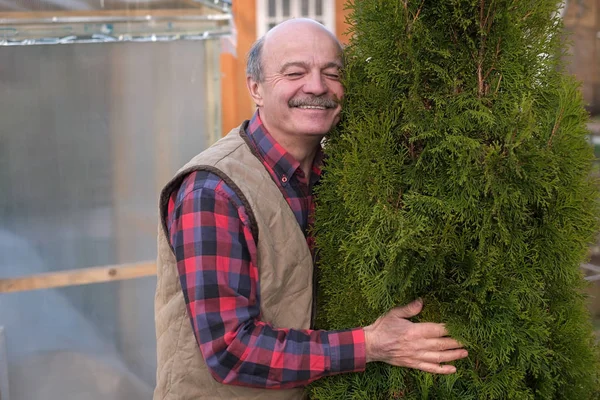 成熟した男は、彼のお気に入りの木を抱きしめる彼の庭を誇りに思っている — ストック写真
