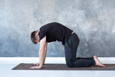 Genç yogi erkekler yoga yapar. Asana bitilasana ya da kedi ineği pozu.