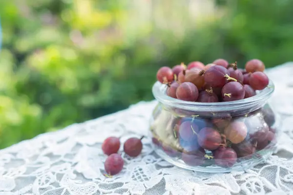 Frisch gepflückte grüne Stachelbeeren im Glas — Stockfoto