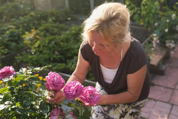 Opgewonden volwassen Kaukasische vrouwelijke tuinman zorgzame bloeiende Bush rozen in werf — Stockfoto