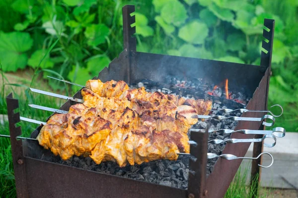Lo spiedino fatto di pezzi di carne e verdura shish in processo di cottura in fuoco aperto — Foto Stock