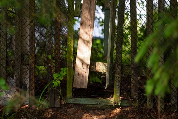 Dřevěný plot s otvorem. Způsob útěku ze zahrady pro kočku — Stock fotografie