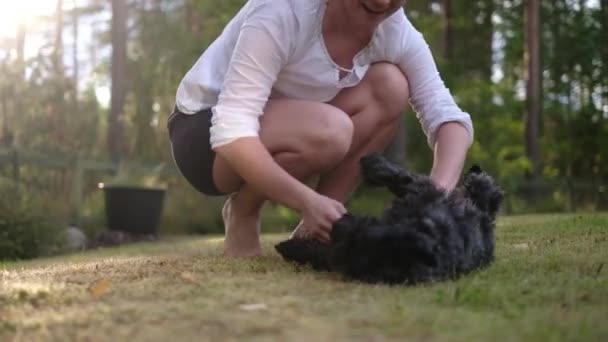 Mujer jugando con pequeño schnauzer negro lindo en el patio trasero — Vídeos de Stock