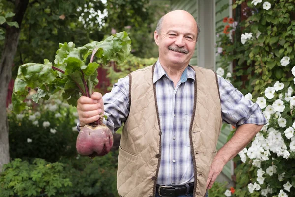 Trotse content man houdt een rode biet in de tuin — Stockfoto