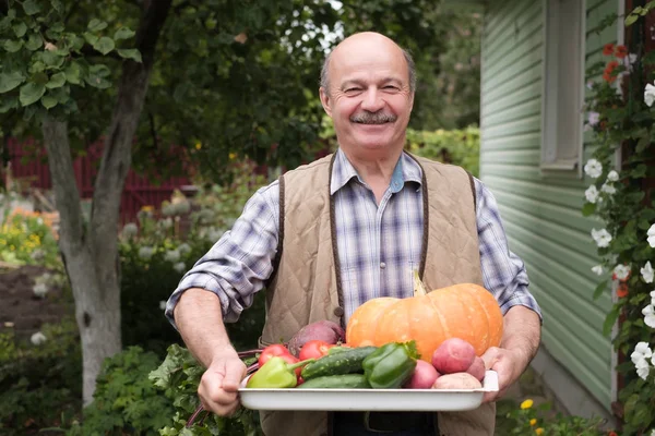 Glimlachend volwassen man met geplukt groenten in zijn tuin. — Stockfoto