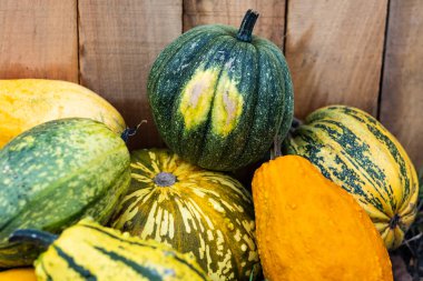 Kabaklar ahşap arka planda. Cadılar Bayramı için dekor ögesi