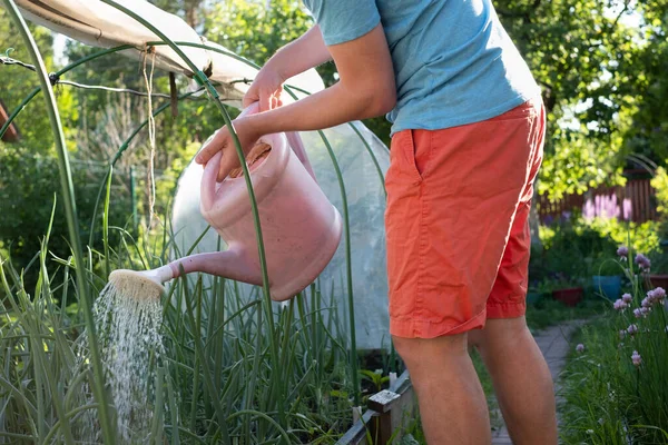 Jeune homme jardinage dans son jardin arrosage fleurs — Photo