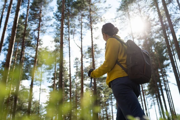 Yaz ormanında yürüyorum. Dişi turist yalnız başına yürüyüş yapıyor..