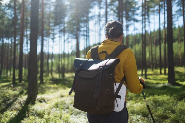 Berjalan di hutan musim panas. Perempuan wisatawan hiking saja. — Stok Foto