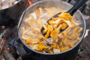 Bir çaydanlık dolusu mantar ateşinde