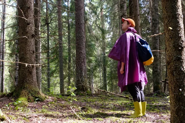 Caminante masculino mirando hacia un lado caminando en el bosque . — Foto de Stock