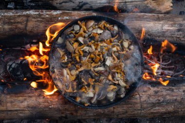 Tavada mantar mantarı. Kamp ateşinde aşçı