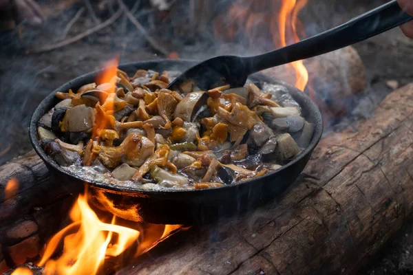 Mushrooms chanterelles on pan. Cook on campfire — Stock Photo, Image