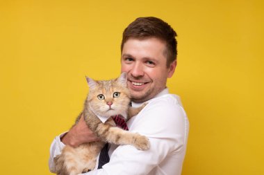 Sarı arka planda İngiliz tekir kedisi olan mutlu beyaz adam..