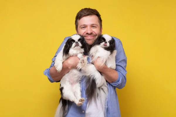 Happy caucasian man holding and comforting cute pet dogs japanese chin