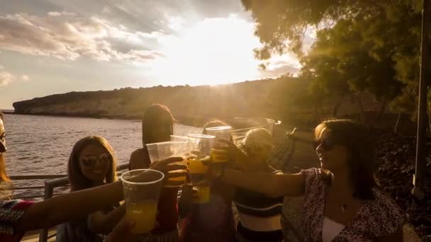 Celebrating Friendship Success Team Works Outdoor Colored Juice Beautiful Females — Stock Video