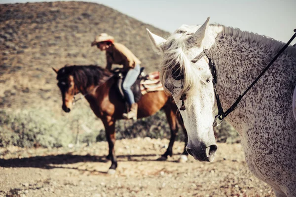 Retrato Cavalo Olhando Para Câmera Com Bela Mulher Cavaleiro Mais — Fotografia de Stock