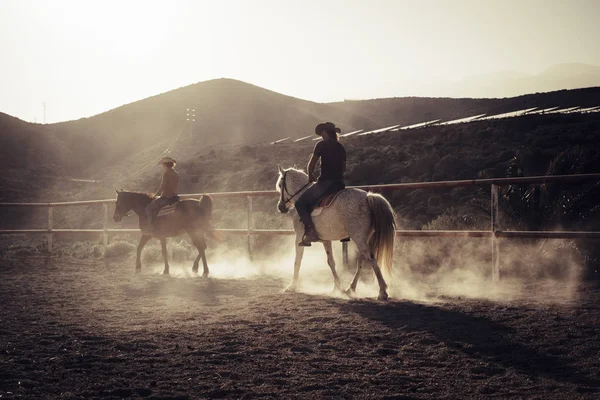 Altın Aydınlatmalı Batımında Dersleri Binmek Toz Iki Atlar Beyaz Kovboy — Stok fotoğraf