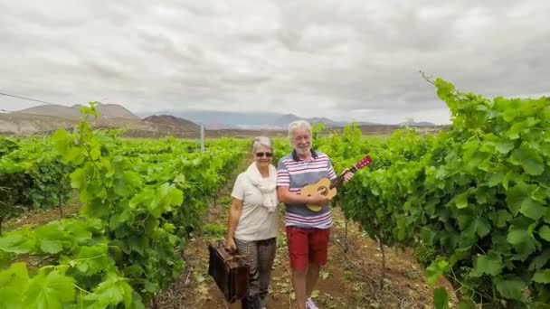 Nice Beautiful Adult Couple White Hair Walk Fields Wine Playing — Stock Video