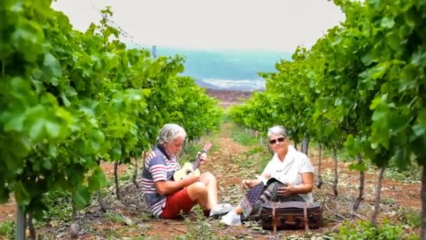 Bonito Bonito Casal Adultos Cabelos Brancos Caminhar Nos Campos Vinho — Vídeo de Stock