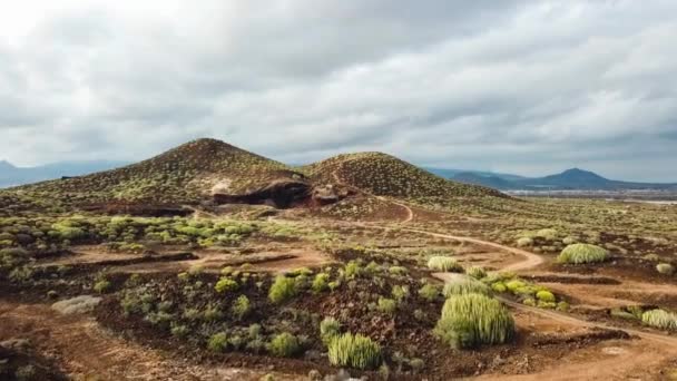 在黑色火山的土壤在加那利群岛兰萨罗特岛 阿尔及利亚葡萄园 — 图库视频影像