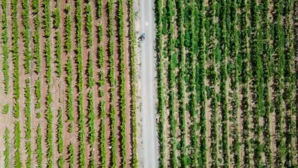 Kanarya Adaları Üzerinde Bisikletle Seyahat Eden Kadın — Stok video