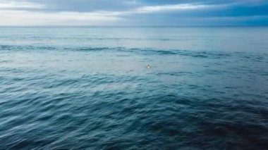 plajda denizin dalgaları