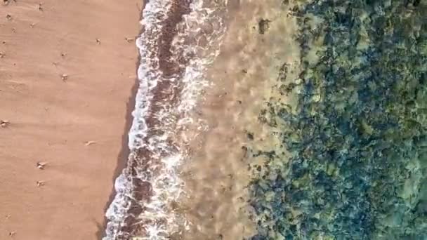 Vlny Moři Pláži — Stock video
