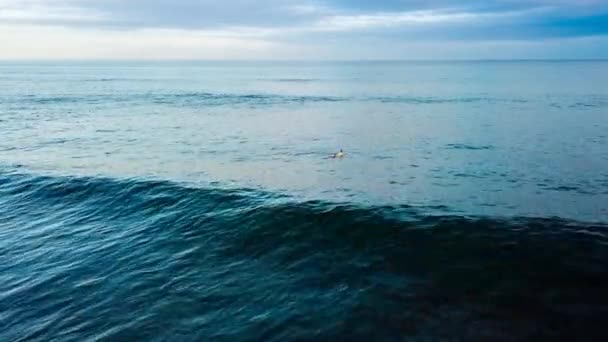ビーチでの海の波 — ストック動画