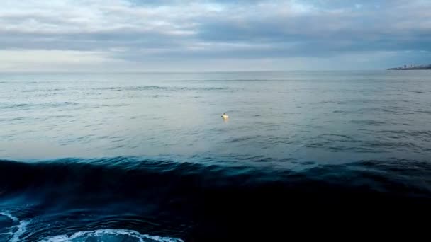 Plajda Denizin Dalgaları — Stok video