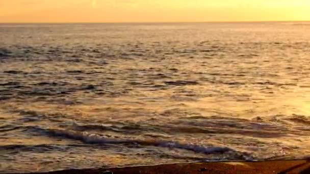 Kumsalda Altın Bir Muhteşem Gün Batımı Sırasında Atlama Rahat Güzel — Stok video