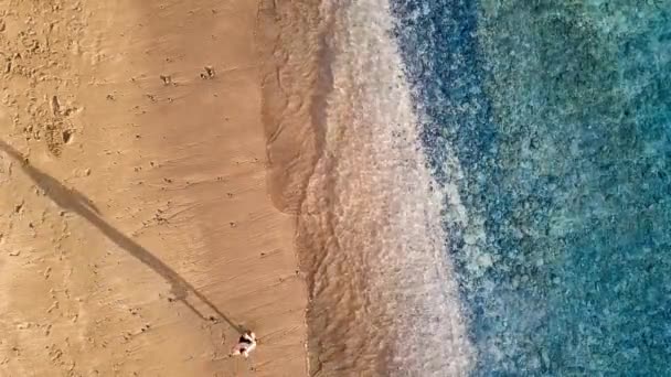 Przystojny Nastolatek Kaukaski Mięśni Wieku Lat Chodzenie Plaży Złote Światło — Wideo stockowe