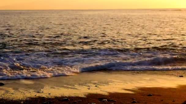 Расслабленная Красивая Белая Женщина Прыгающая Пляже Время Золотого Удивительного Заката — стоковое видео