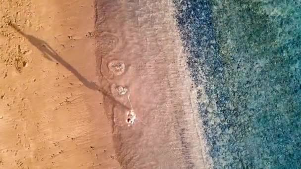 Adolescente Caucasiano Bonito Com Músculos Aos Anos Idade Andando Praia — Vídeo de Stock