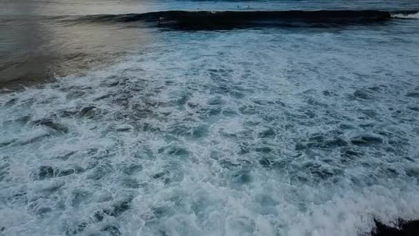 Серфингисты Своих Досках Океане Водные Виды Спорта Летних Цветов Утренняя — стоковое видео
