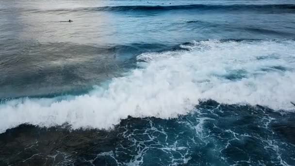 海で自分のボード上のサーファーの人 夏色の朝コンセプトの水スポーツ活動 人生と肯定的な感情やライフ スタイルをお楽しみください — ストック動画