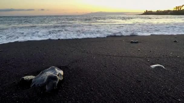 Vågor Havet Stranden Vid Solnedgången — Stockvideo