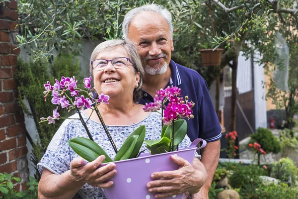 Senior Couple Standing Together Orchid Flowers Outdoor — Stock Photo, Image