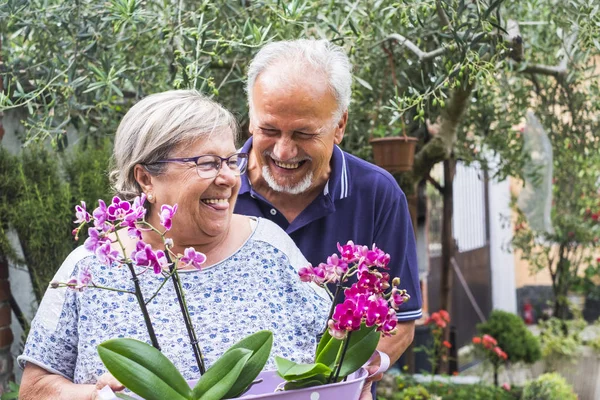 Senior Couple Standing Together Orchid Flowers Outdoor — Stock Photo, Image