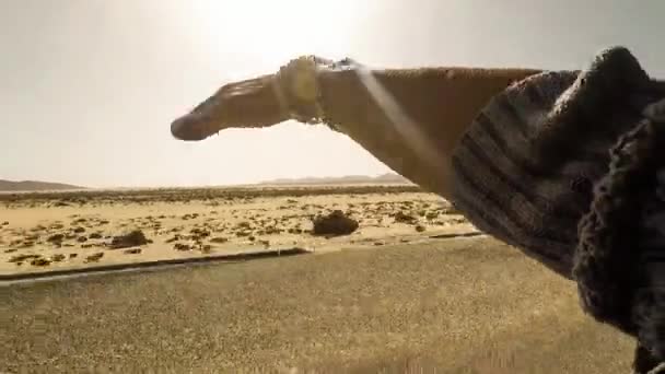 Vrouwelijke Hand Vangen Wind Terwijl Het Bewegen Van Auto — Stockvideo