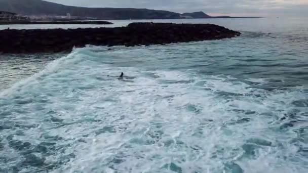 Vista Nadador Olas Mar Durante Día — Vídeos de Stock