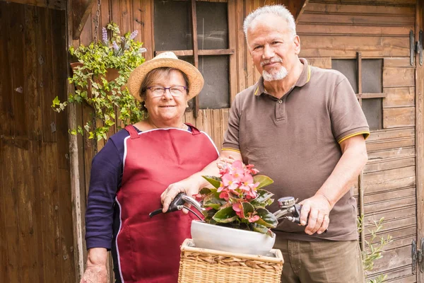 Caucasian Couple Standing Bicycle Wooden House — Stock Photo, Image