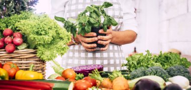 fesleğen bitki mutfak çeşitli sebze ile çalışırken elinde tutan kadın 