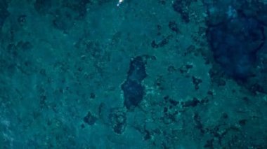 gündüz deniz dalgaları üzerinde yüzen sörfçü görünümü