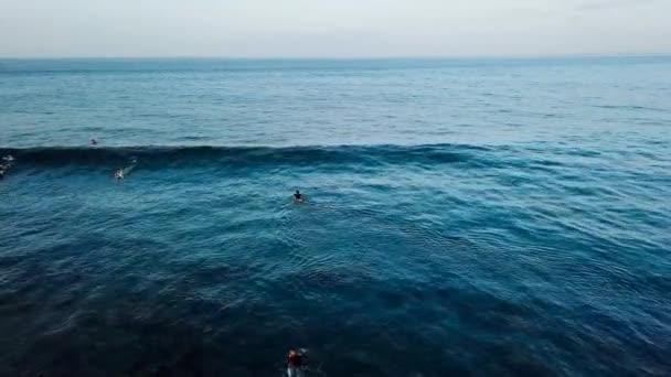 Προβολή Των Surfers Που Επιπλέει Στην Θάλασσα Κύματα Κατά Διάρκεια — Αρχείο Βίντεο