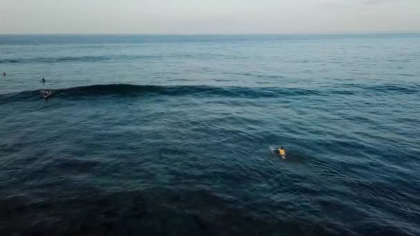 Vista Los Surfistas Flotando Las Olas Del Mar Durante Día — Vídeo de stock