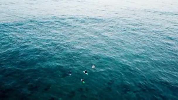 Vista Los Surfistas Flotando Las Olas Del Mar Durante Día — Vídeo de stock