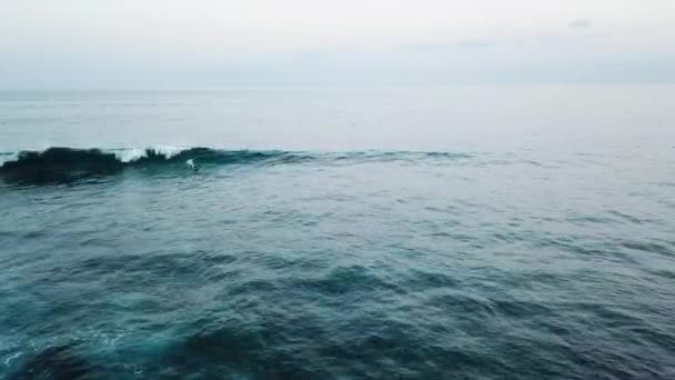 Blick Auf Surfer Die Tagsüber Auf Wellen Schwimmen — Stockvideo