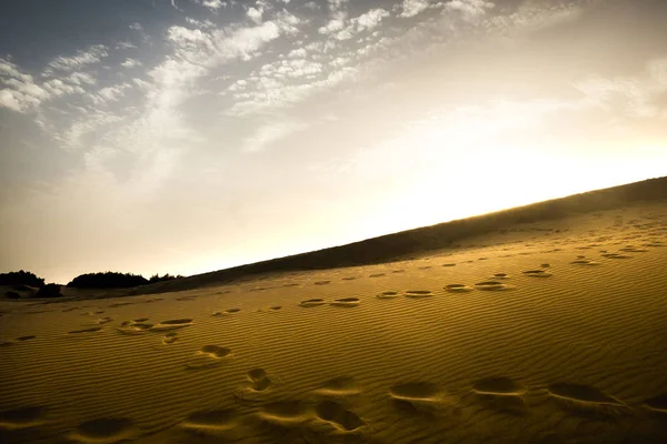 Areia Dunas Deserto Conceito Lugar Tropical — Fotografia de Stock